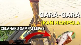 SIAPA BILANG TOMAN TAK MAU MENYAMBAR (UMPAN HAMPALA) @ANAKSUNGAIKERUH