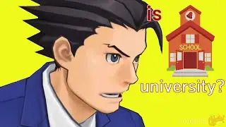 Are Universities Schools? (objection.lol)