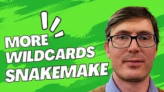 Snakemake wildcards II