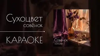 Совёнок - Сухоцвет (Караоке)