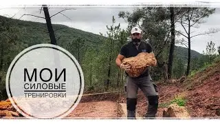 Мои силовые тренировки