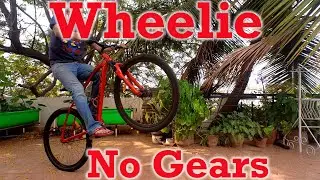 How To Wheelie a Gearless Cycle | Wheelie in cycle without gears | Ajs cycling Vlog