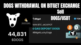 How to withdraw Dogs to BITGET exchange || How to sell dogs on exchanges