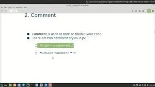 JavaScript comment