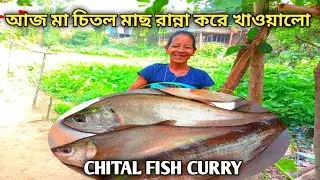 আজ মায়ের পছন্দের মত চিতল মাছ রান্না করে খাওয়ালো|chitol macher recipe|chitol macher kalia