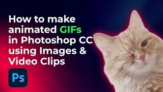 How to Make an Animated Gif in Adobe Photoshop