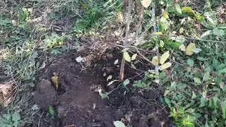 Происходящие изменения