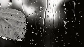 Photoshop drawing - Leave on the glass / Рисунок в Фотошоп - Лист на стекле