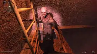 S.T.A.L.K.E.R. Anomaly - S.T.A.L.K.E.R Bugs and A Fracture Fight