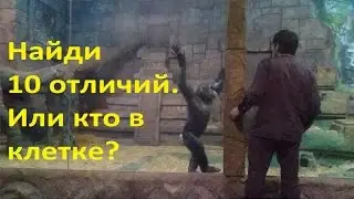 Кто в клетке?