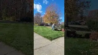 Quick leaf pickup