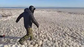 2 января 2021 г.(3)