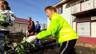 Озеленение дворов по ул. Калинина с. Иглино