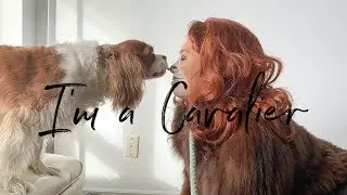 TURNING MYSELF INTO MY DOG | Easy Halloween Costume