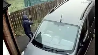 try not to laugh   #shorts