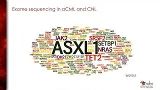 120CML08