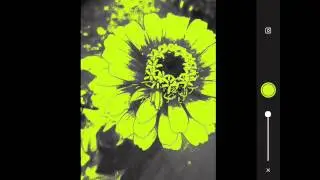 3. Adobe Shape Photo to Vector - Making Refining Selection