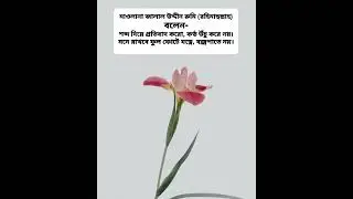 মাওলানা জালাল উদ্দীন রুমি রহিমাহুল্লাহ বলেন-