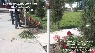 Шанбеги кормандони макомоти ичроияи хокимияти давлатии н. Точикобод корхои  кабудизоркуни ва тозаги