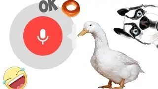 Окей Google - прикольные голосовые команды