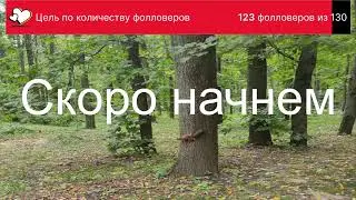GTA V Цель: прохождение 100%. День 2.