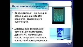 Механизмы массопереноса