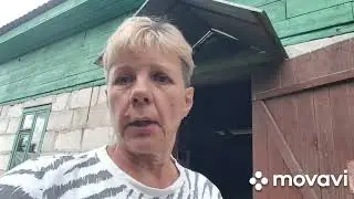 ЖИВЕМ В ДЕРЕВНЕ/ БЕЛАРУСЬ.Продаю не выходя из дома.