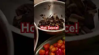 Halloween Hot Sauce!