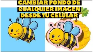 Cambiar Fondo de Cualquier Imagen(foto) Desde Celular, totalmente Gratuito, Explicación Paso A Paso