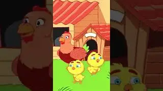 Tavuk Şarkısı / Bilmecesi 🐔(Chicken Song)🐓Süleyman Tarman