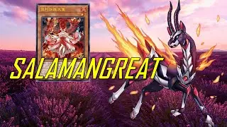 [EDOPRO] SALAMANGREAT deck Apr.2022 | Post Power of the Elements