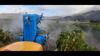 Stellenbosch Citrus and vineyard demonstration