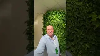 Вертикальное озеленение из сфагновых модулей