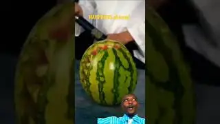 badr hari vs overeem technique 