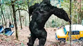 探险队被陷阱拦住去路，下车后被金刚猩猩袭击！【金刚归来 KingKong is Coming Back】| 科幻/冒险 | 经典大本营