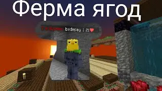 ферма ягод типо мини обзорчик