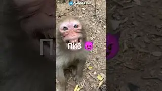 Цензура не спит 🔞 