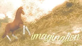 Imagination