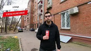 Елены Колесовой улица
