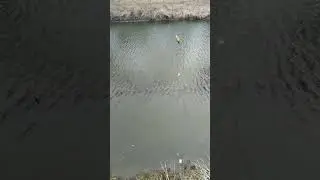 #рибалка