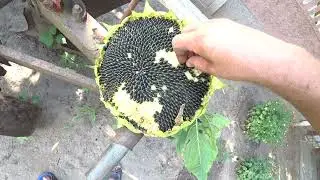 Як так