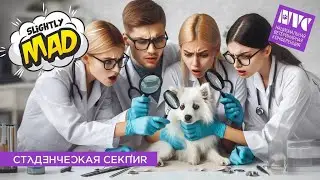 Юлия Меликова о секции «Основа основ». NVC 2024