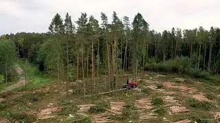 Drone TimmerSkog - Ljuddesign