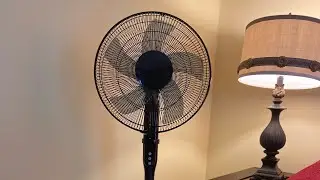 Mainstays/*Aikoper/*Pelonis BLDC Motor Pedestal Fan.