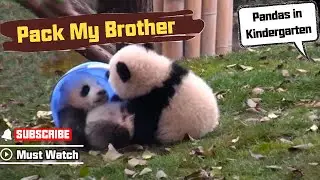 Naughty Panda 