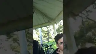 Stupid shit