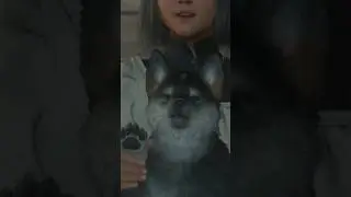 Can You Pet The Dog    | Final Fantasy XVI