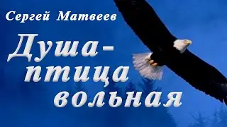 ДУША   ПТИЦА ВОЛЬНАЯ - Сергей Матвеев и гр. SM-BAND (Живой звук)