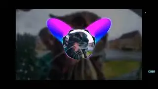фонг биты катяра