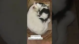 В печку вместо дров 